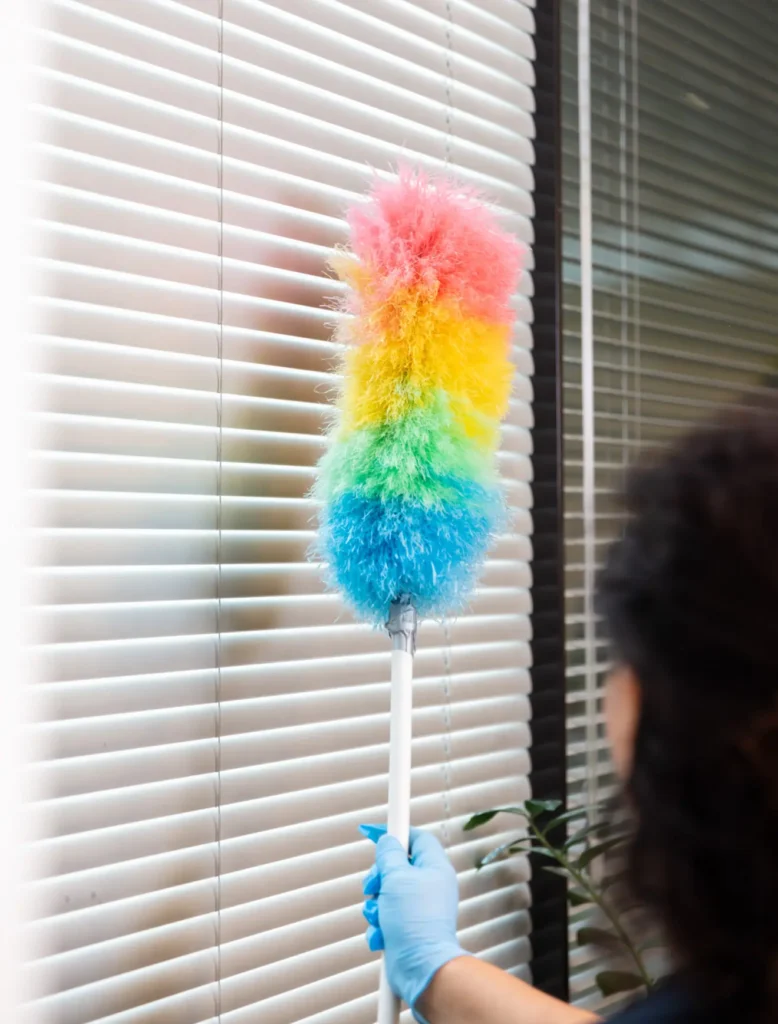 Professionele schoonmaak ruit schoonmaken